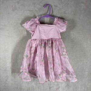 Audrey Camille Fairy Princess Toddler Dress Size 3T Pink Floral Girly